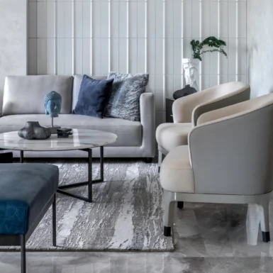 living room luxury interior